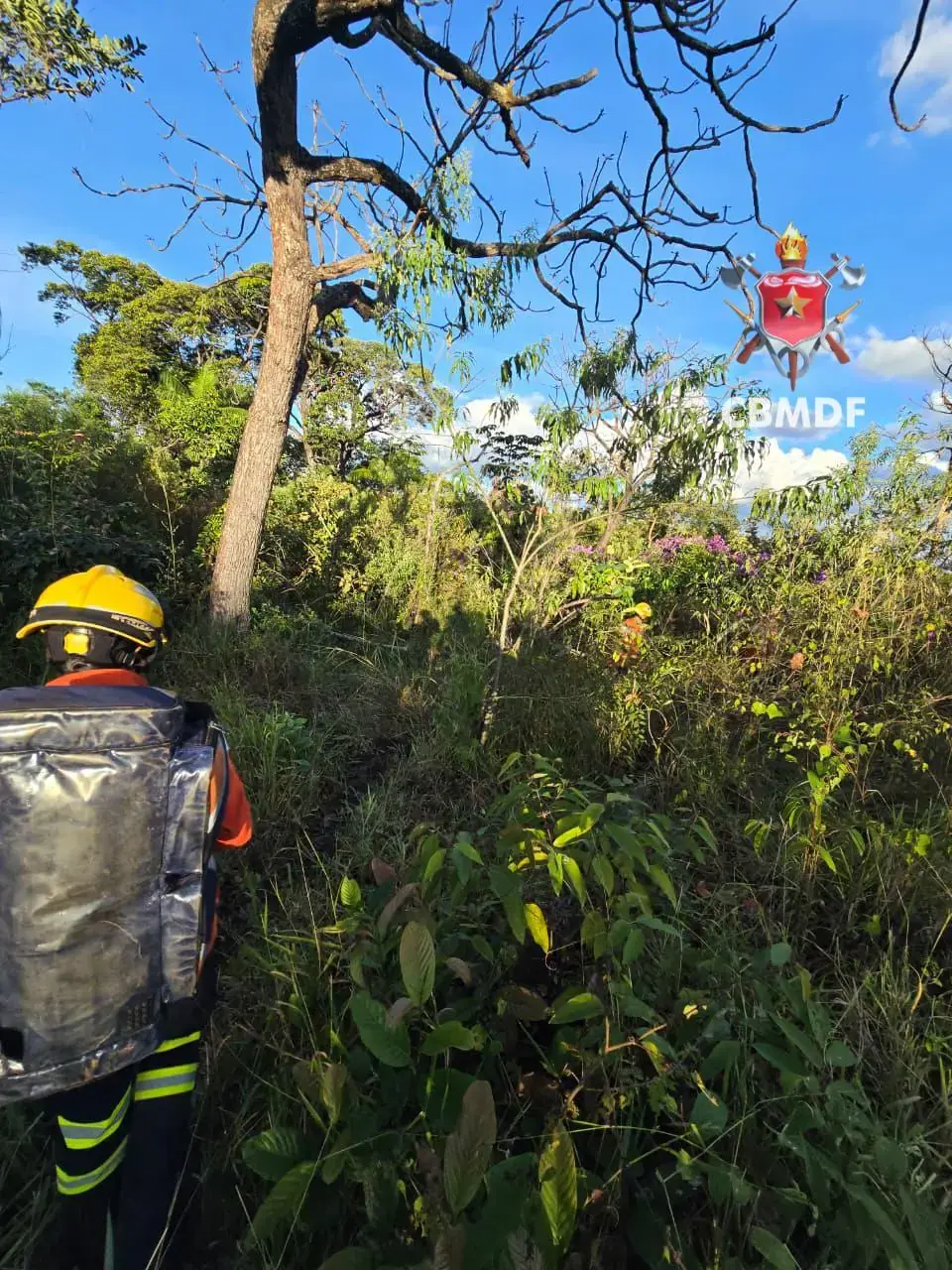 Bombeiros resgatam homem com fortes dores em área rural de Brazlândia