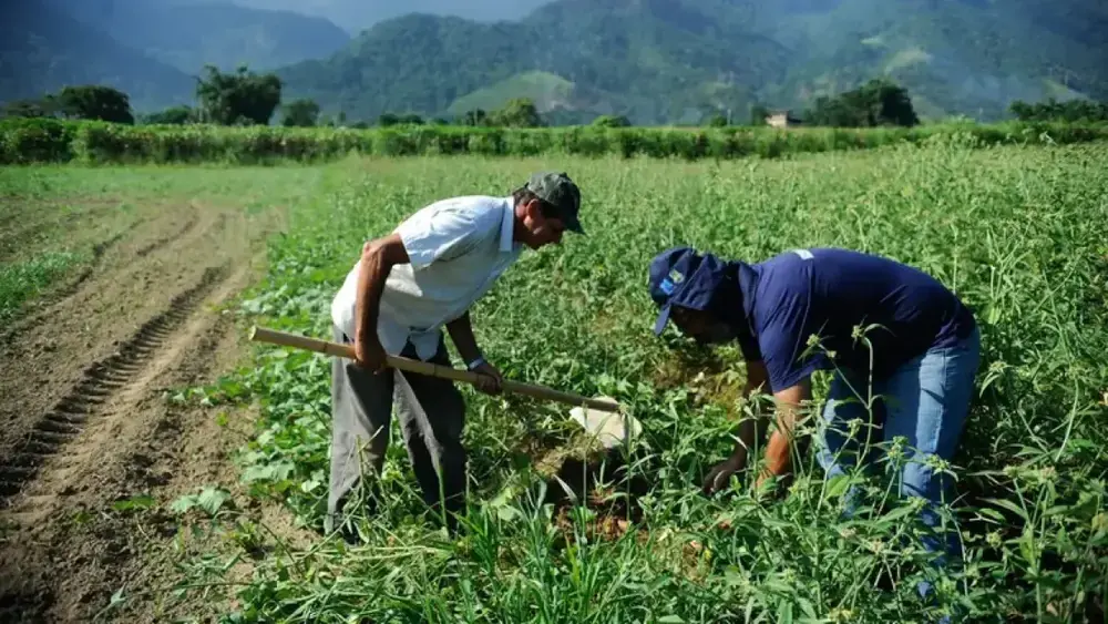 DF orienta regularização de ocupação em área rural